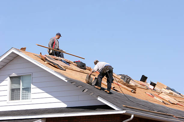 Best Gutter Installation and Repair  in Calverton, MD